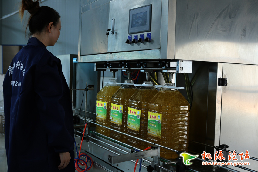 AG8亚洲国际,油茶种植生产加工销售,植物油种植生产加工销售
