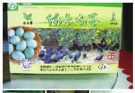 AG8亚洲国际,油茶种植生产加工销售,植物油种植生产加工销售